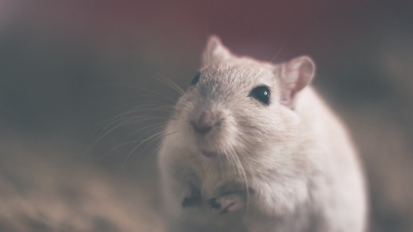 The Seasons Are Changing. Time for a Pest Control Check-In!